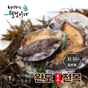 가성비 좋은 활전복*완도사랑 참전복(11~12)1kg