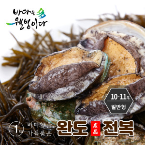 가성비 좋은 활전복*완도사랑 참전복(10~11미)1kg* 전복죽 증정